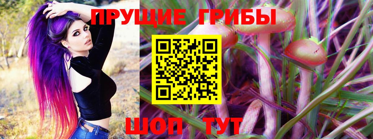Галлюциногенные грибы Psilocybine cubensis Тихвин
